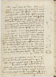 Code de vol des oiseaux, c. 1505-06, manuscrit sur papier, cc. 18, feuille 14 verso